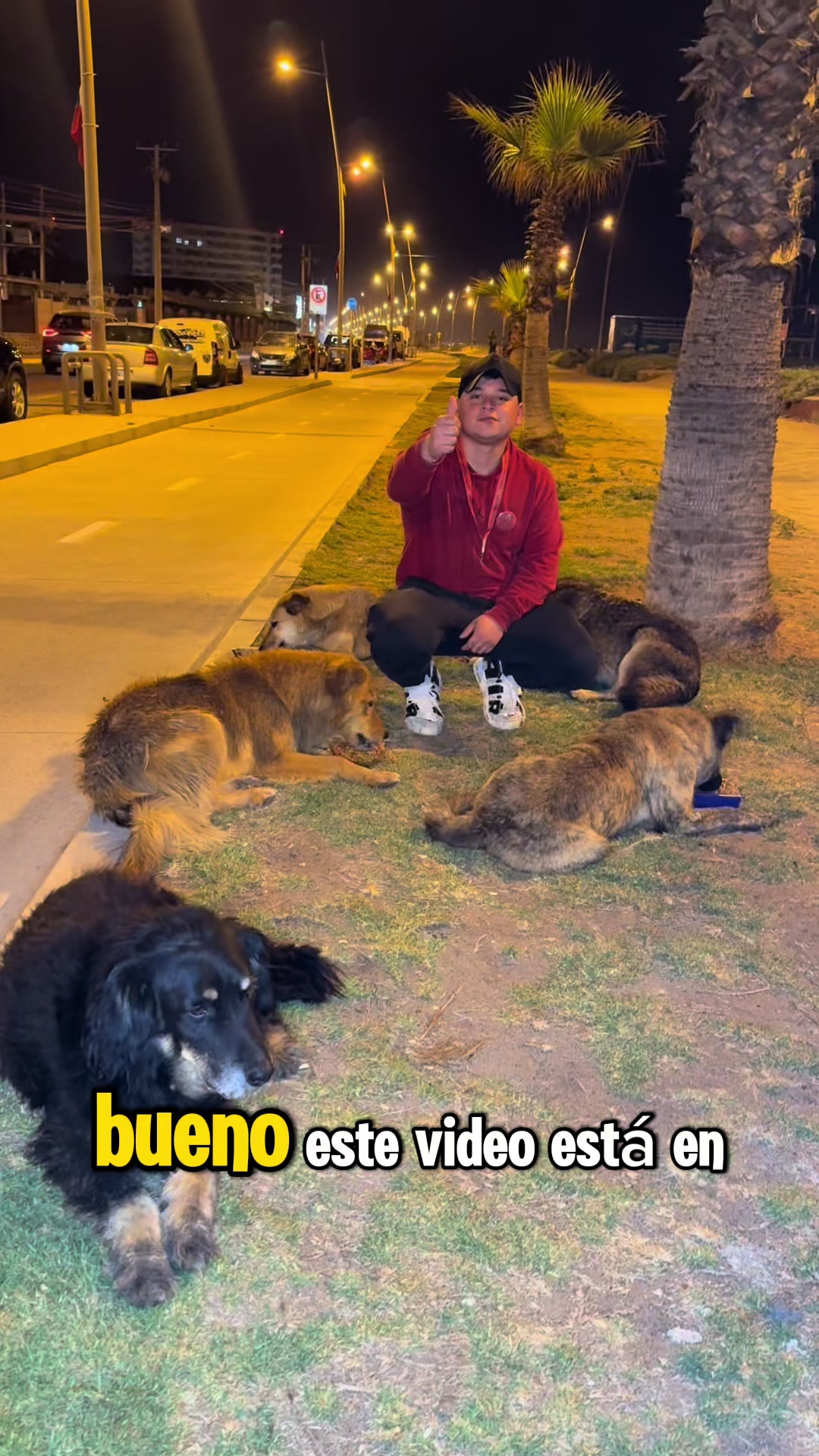 @Proyecto bene la serena