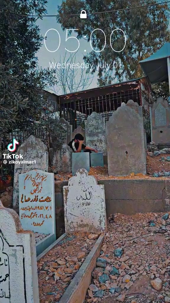 @Nashat Dewana