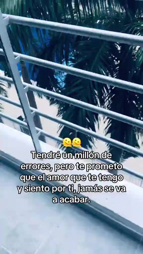 @🕷.