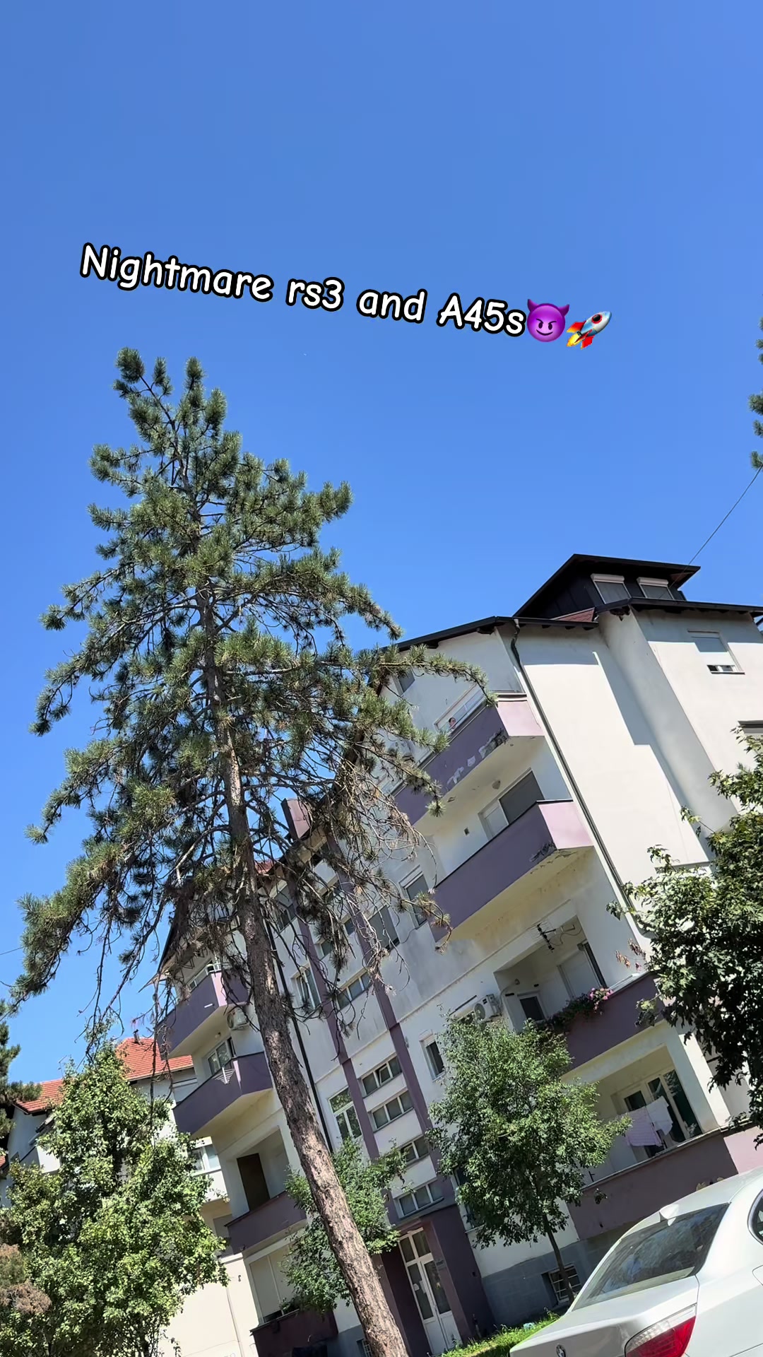@🐊