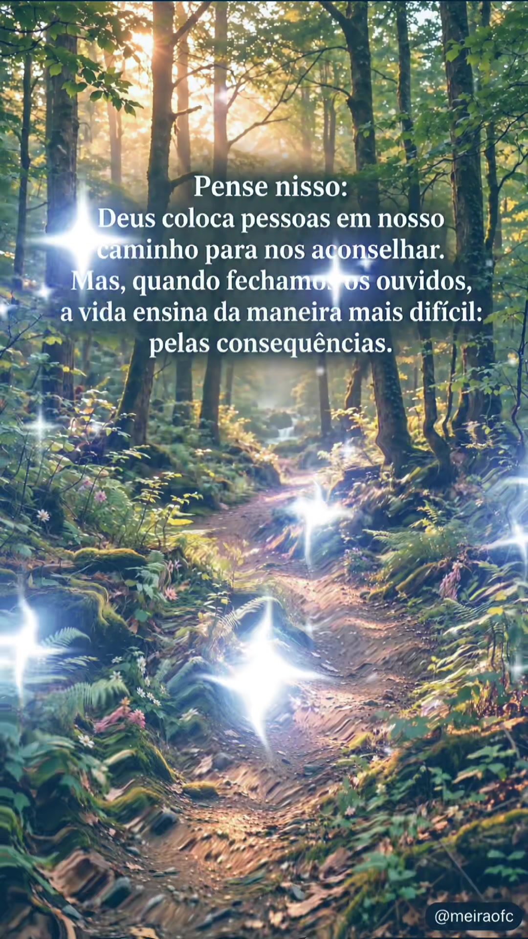 @Meiraofc
