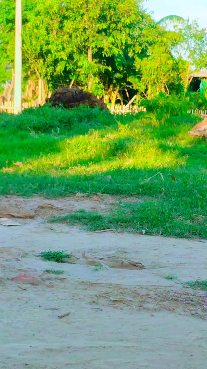 @Raushan yadav