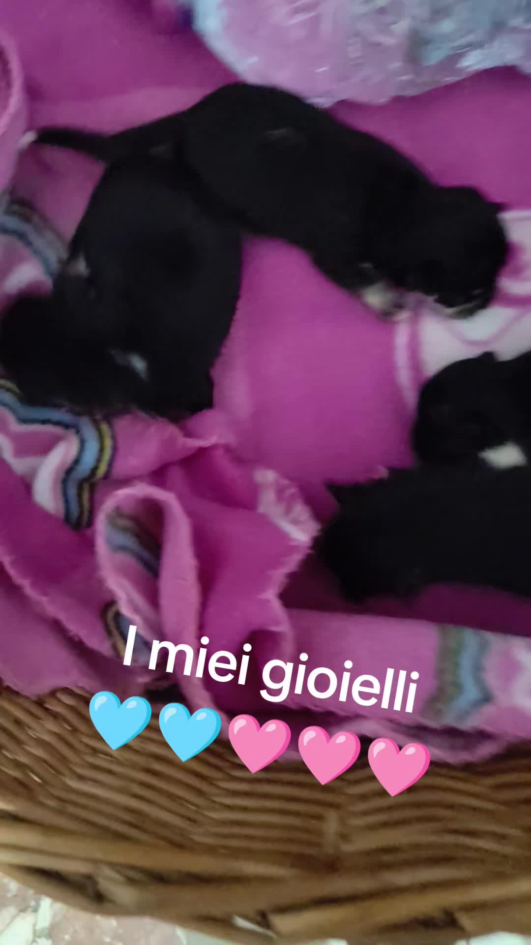 @Marika Greco