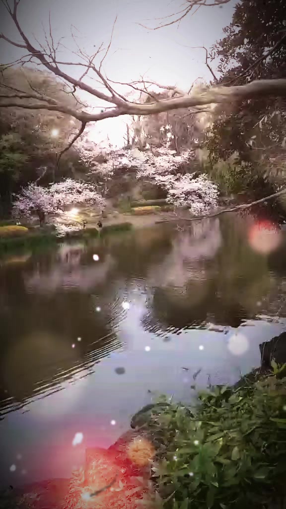 @kazuhiro sato
