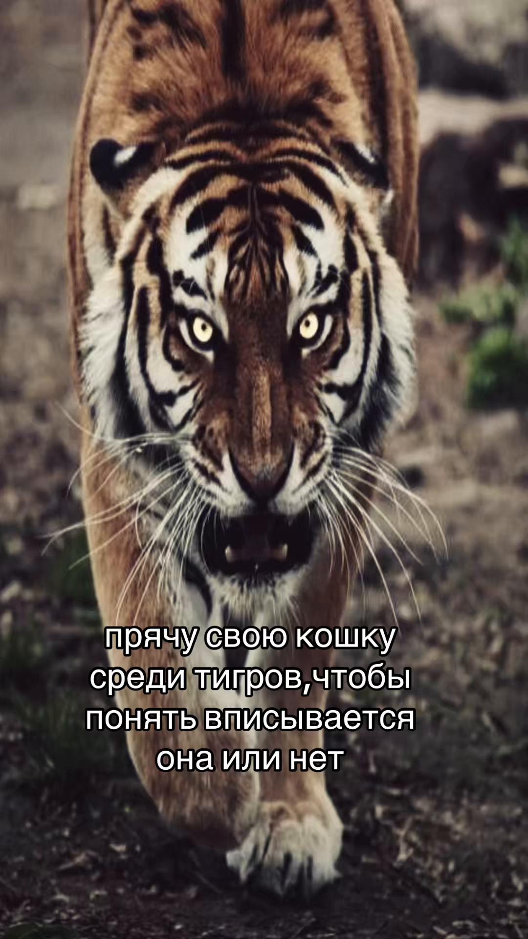 @мил