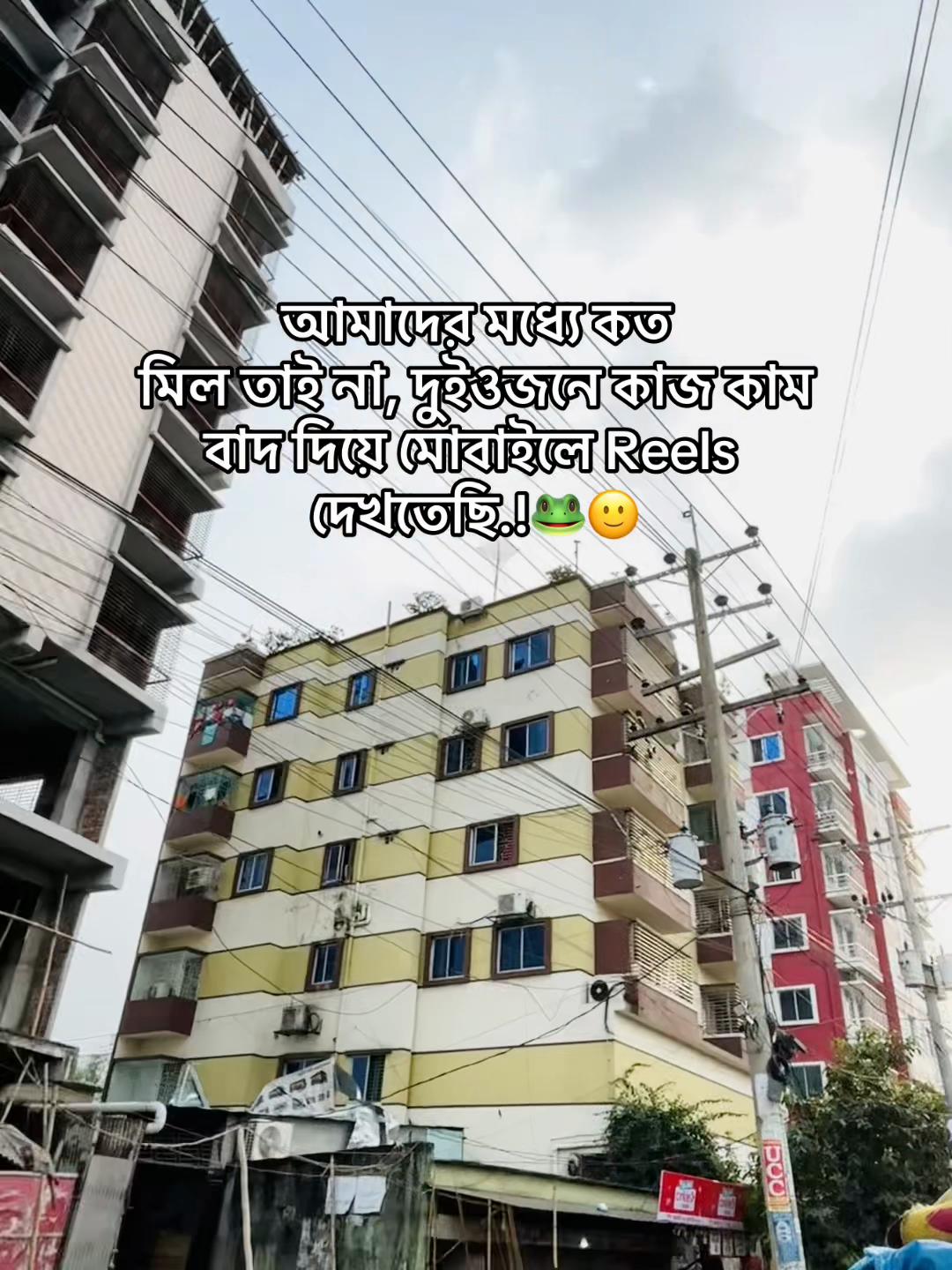 @টিক -টিকি