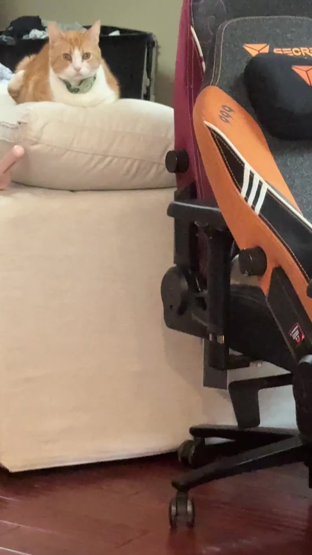 @notkatie