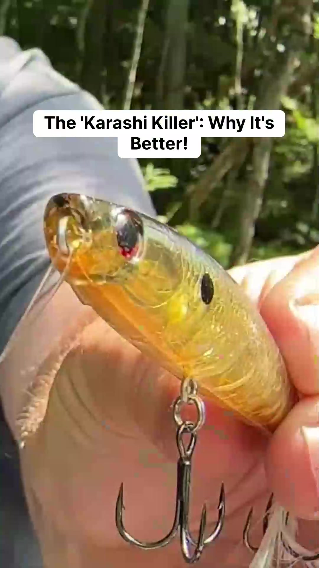 @bassgeek