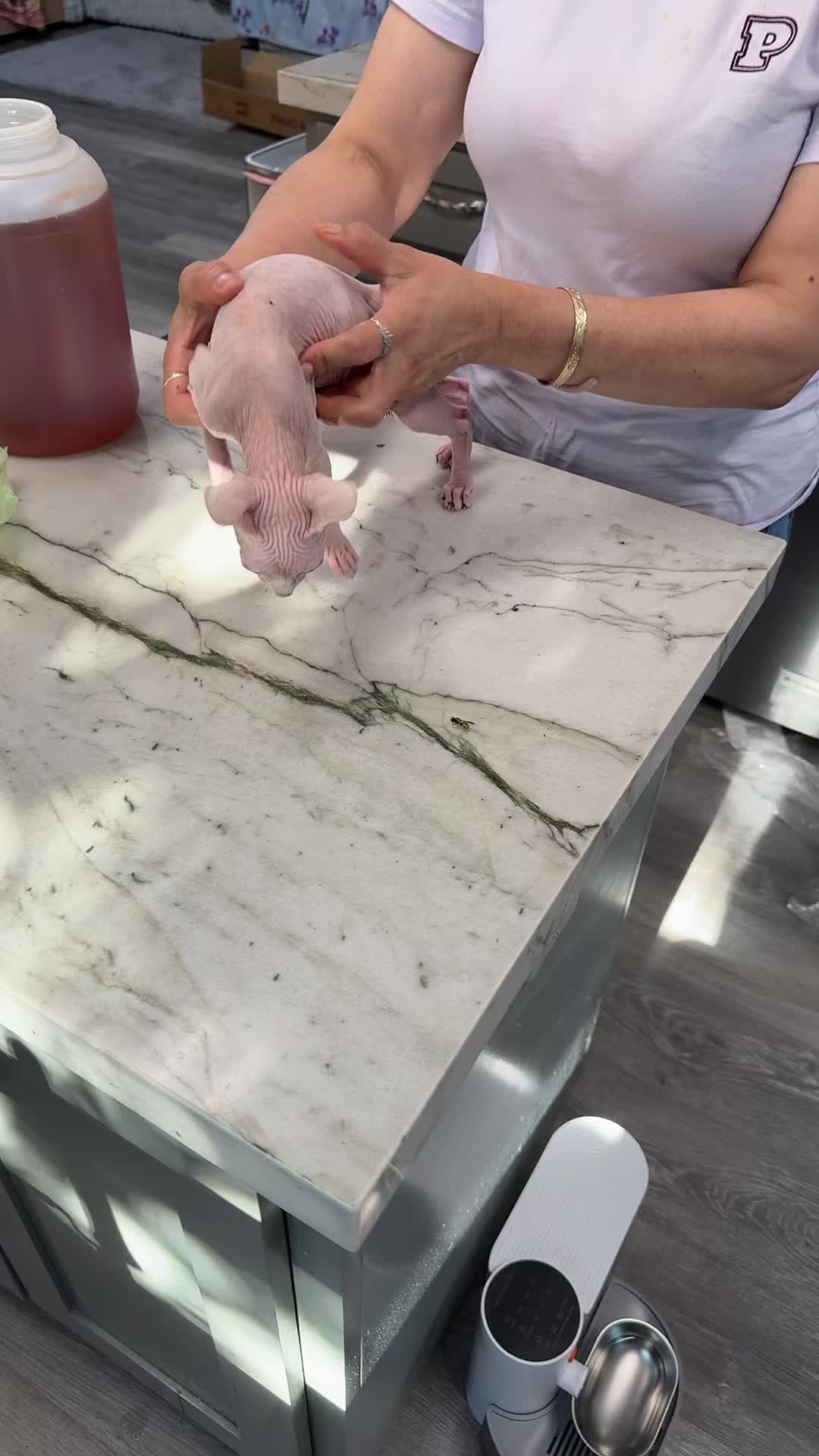@Elcompachekoylaflaca