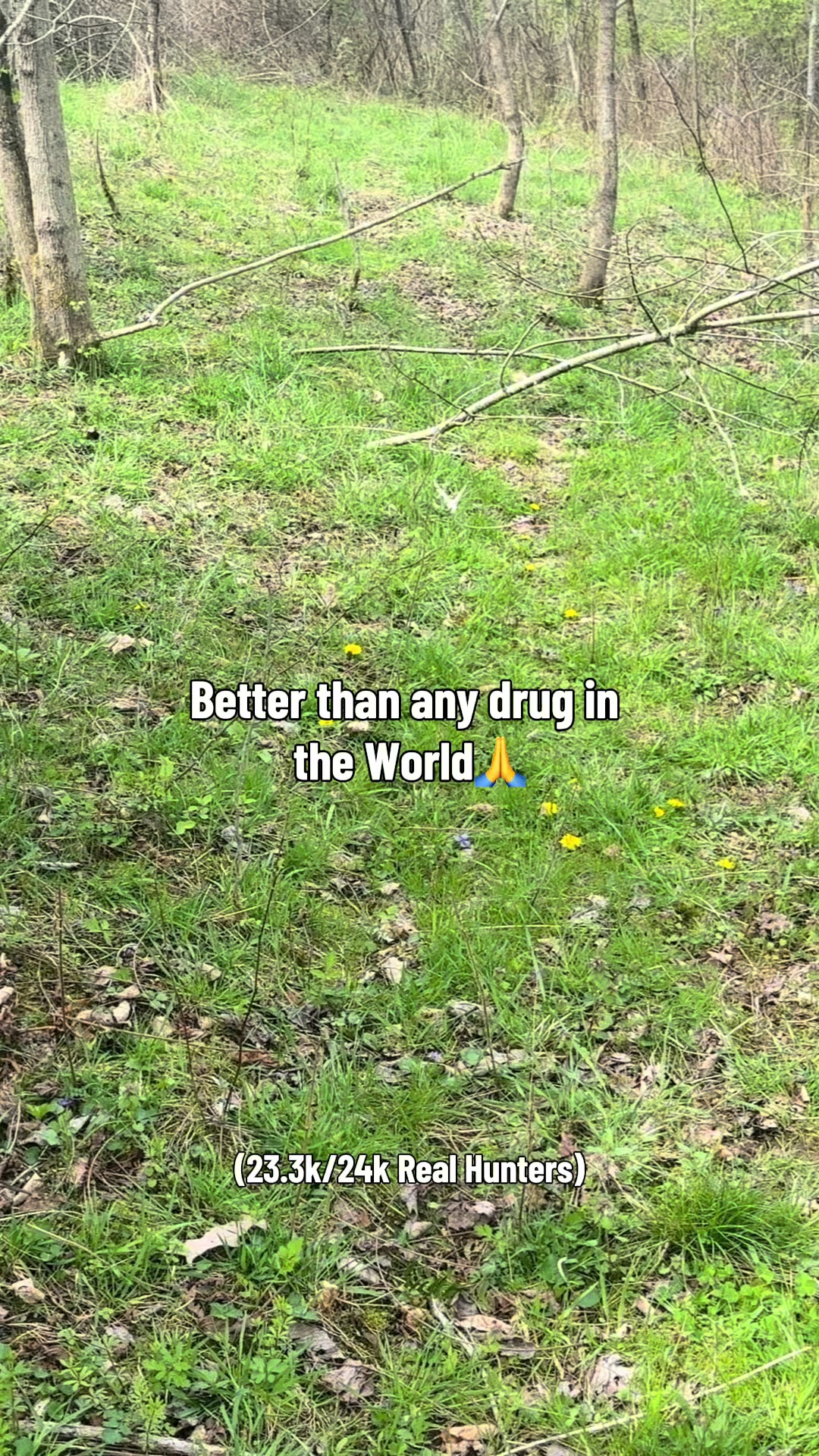 @Mellott Outdoors