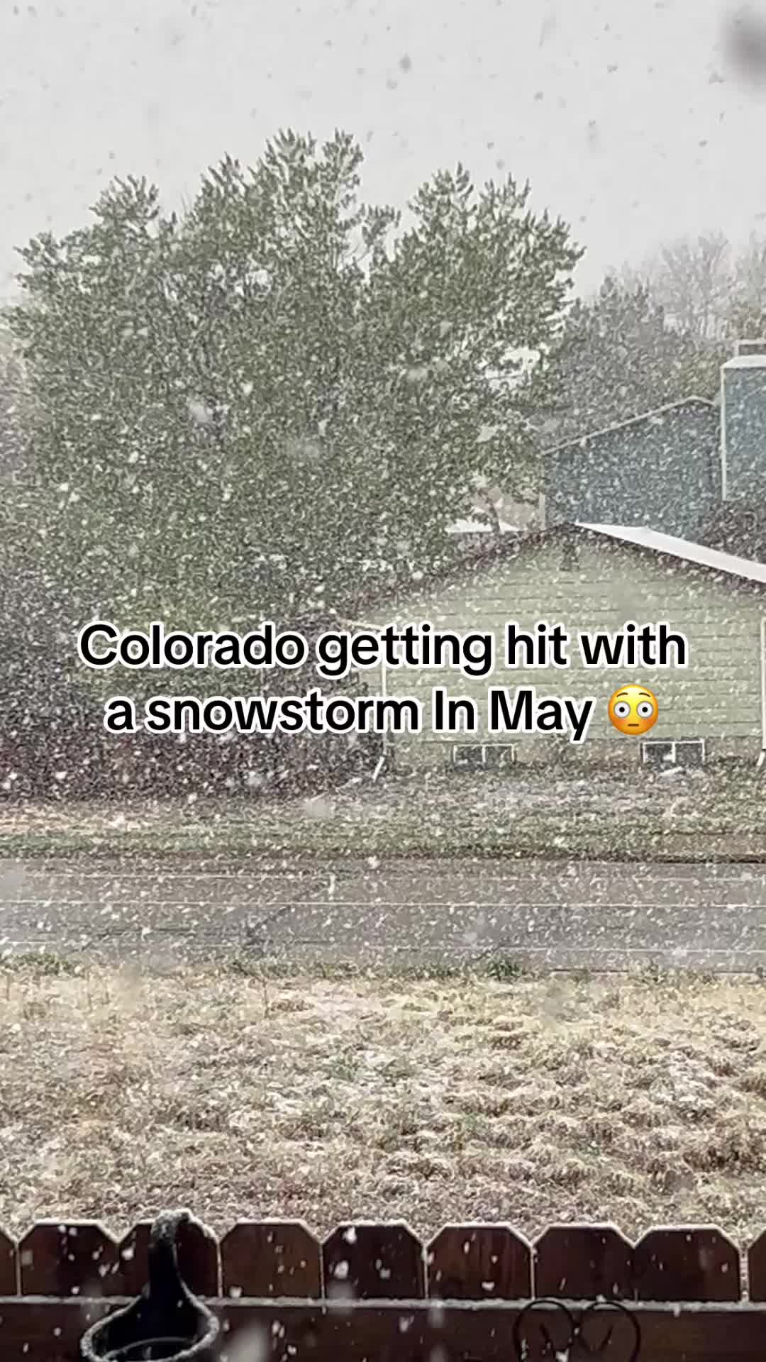 @bl0odmo0n40