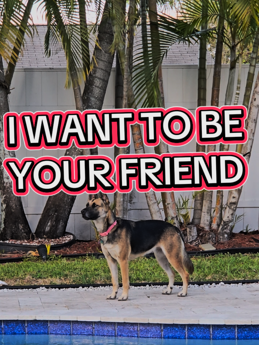 @Rie Animal