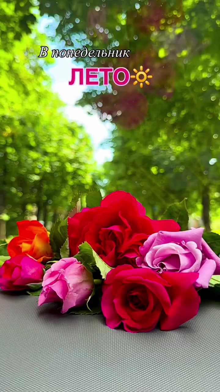@tantan220757