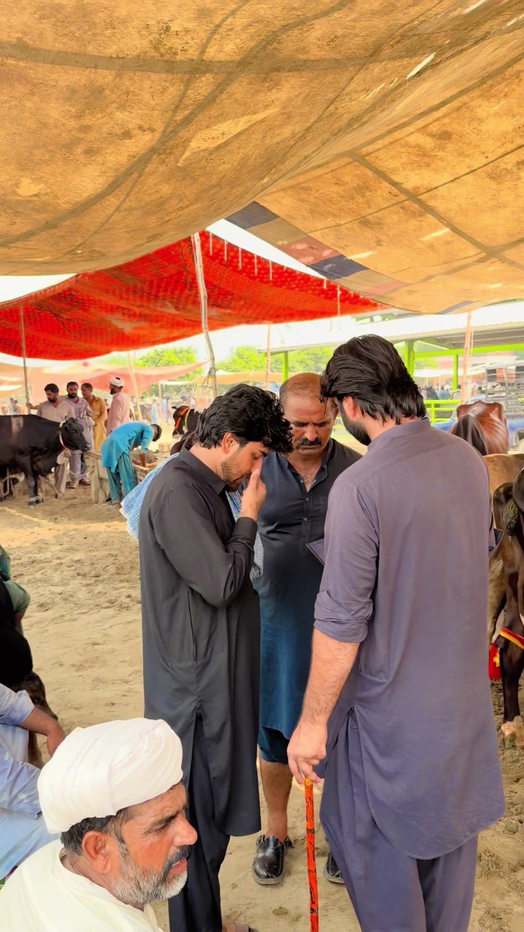 @ڈیرہ سیٹھ حسن شیخوپورہ