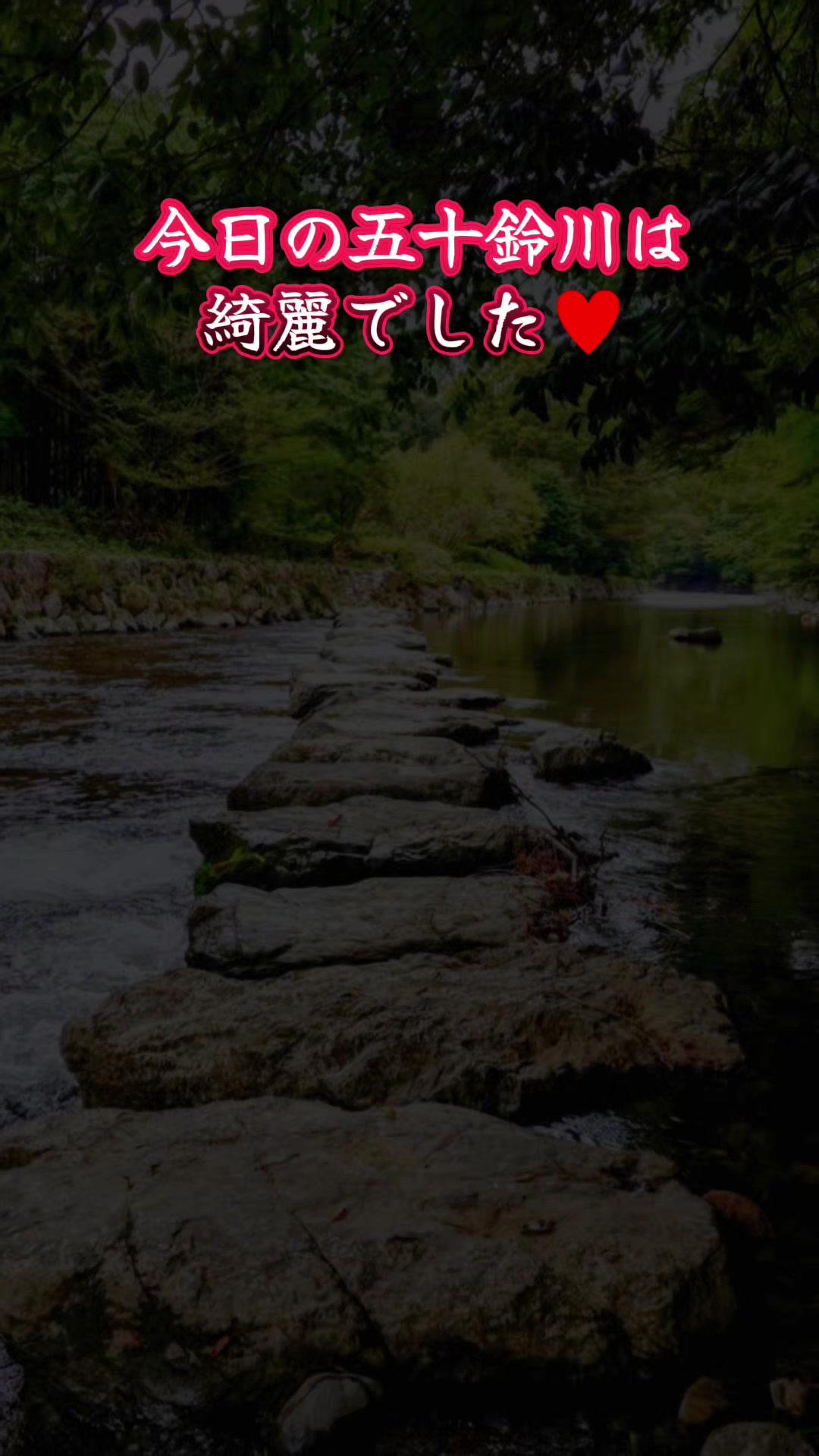 @maimin