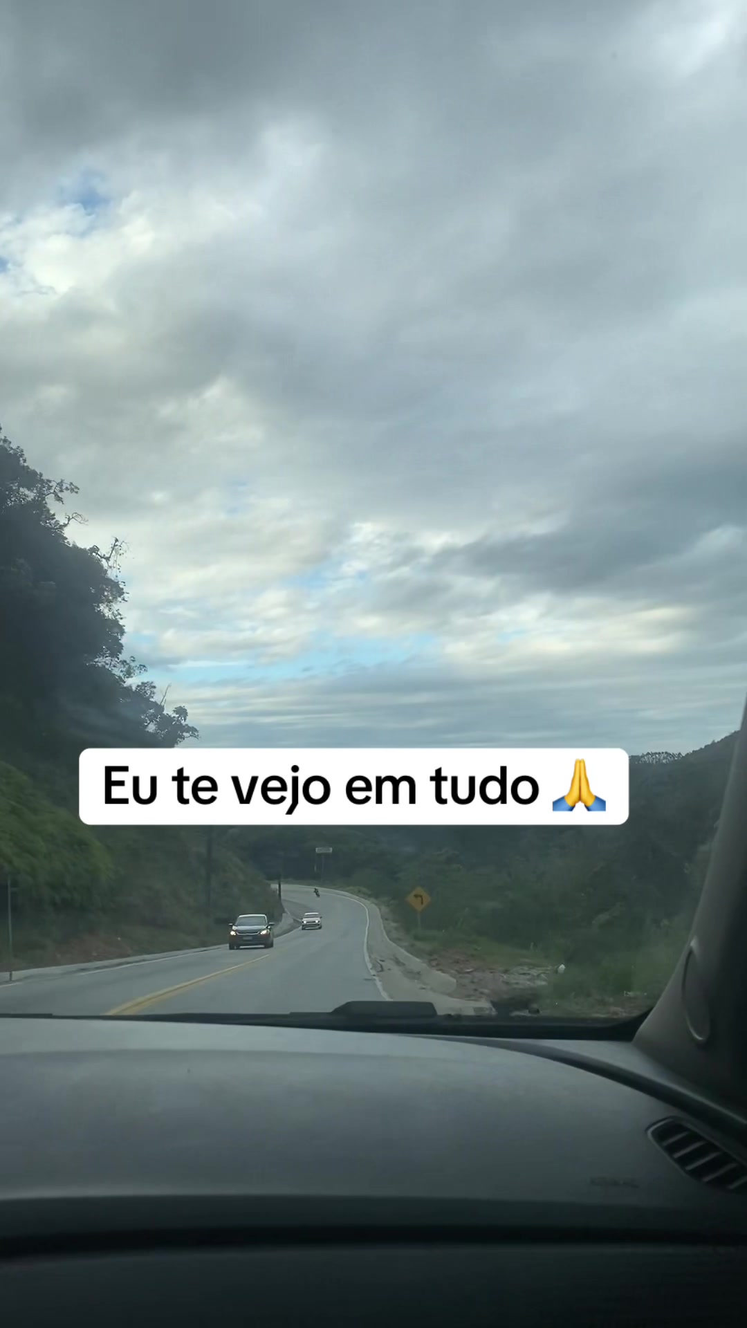 @Girassol do ☯️ANJO VELUDINHO☯️