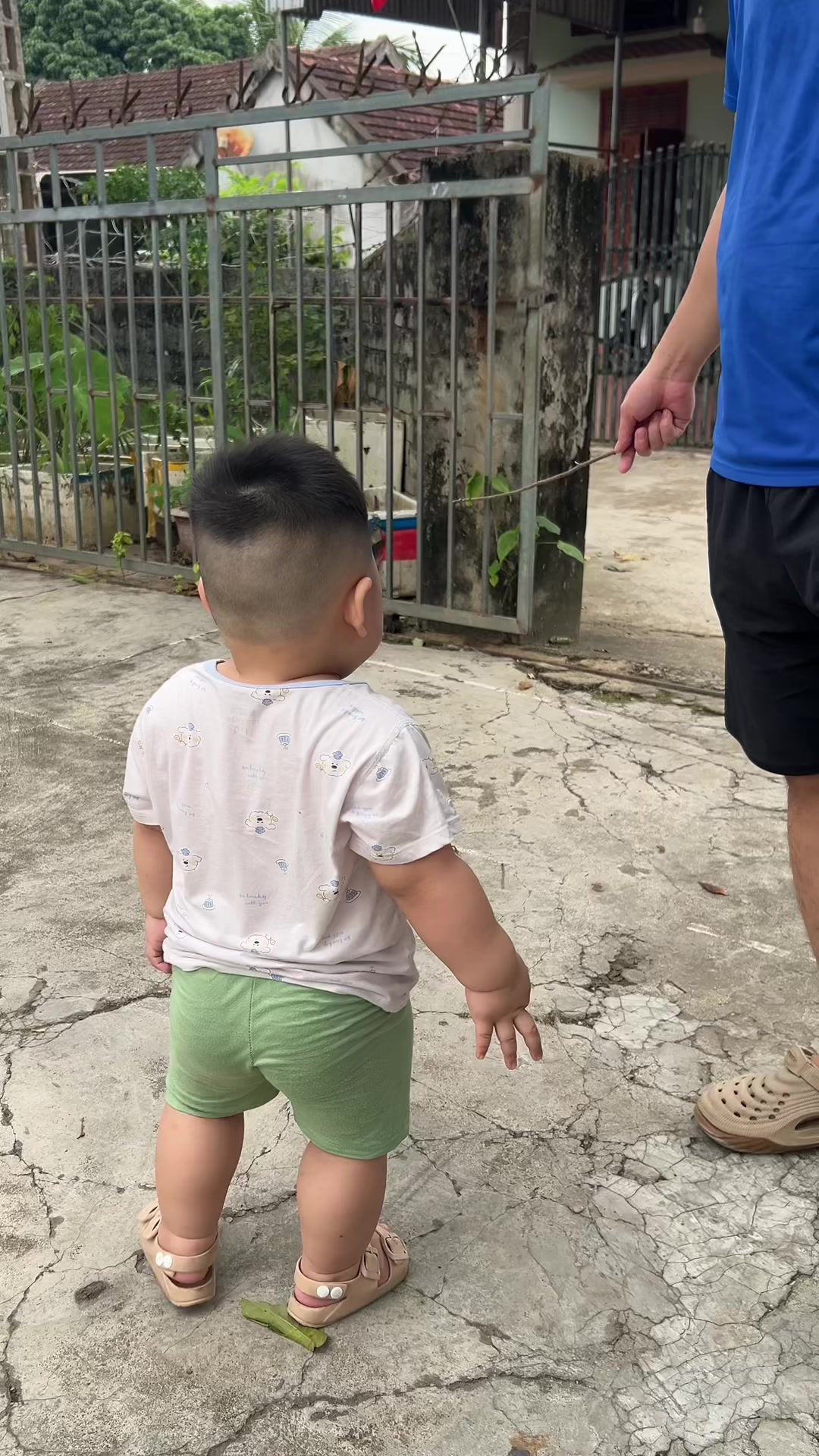 @Sứa biển🪼