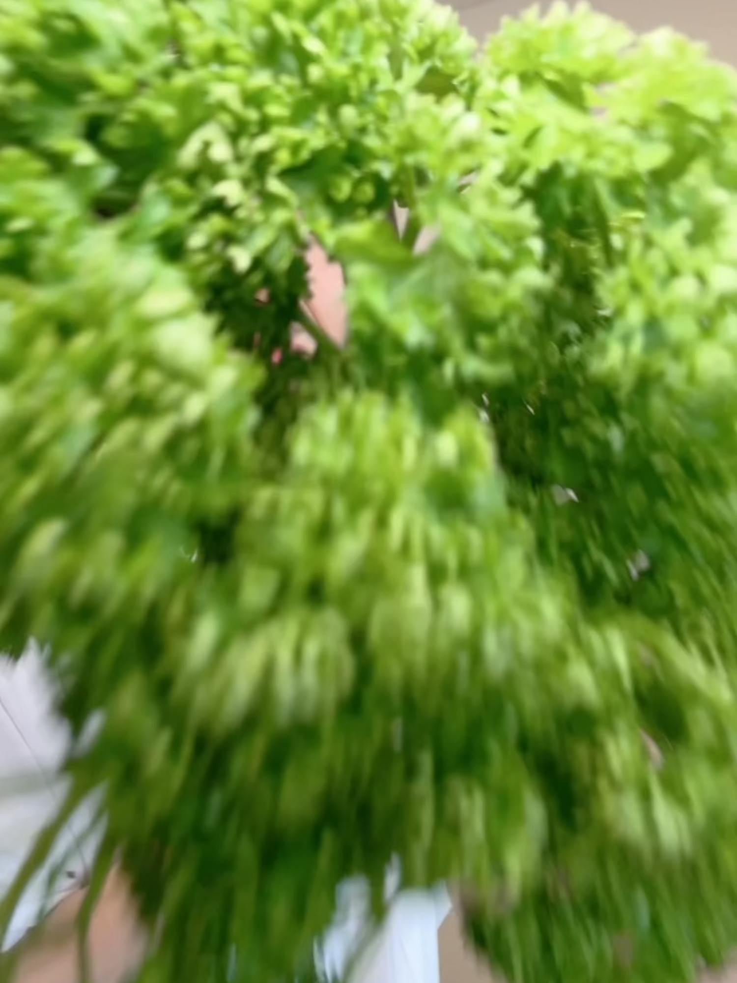 @りょうこ｜40代からの体質改善&times;中医学