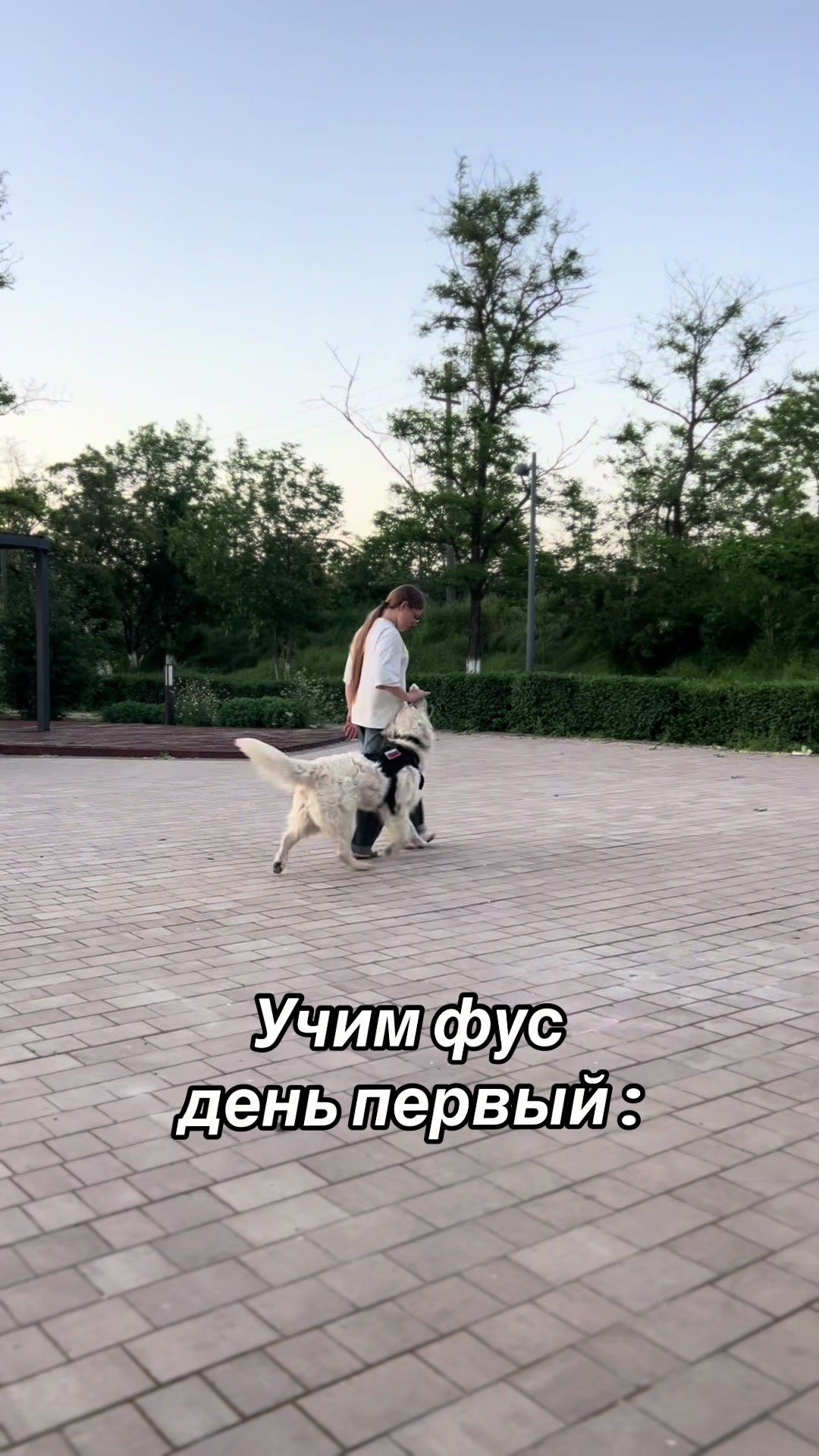@𐔤ɯᥲᥴⲧыύ ⲙᥲρ᥈υ🥏