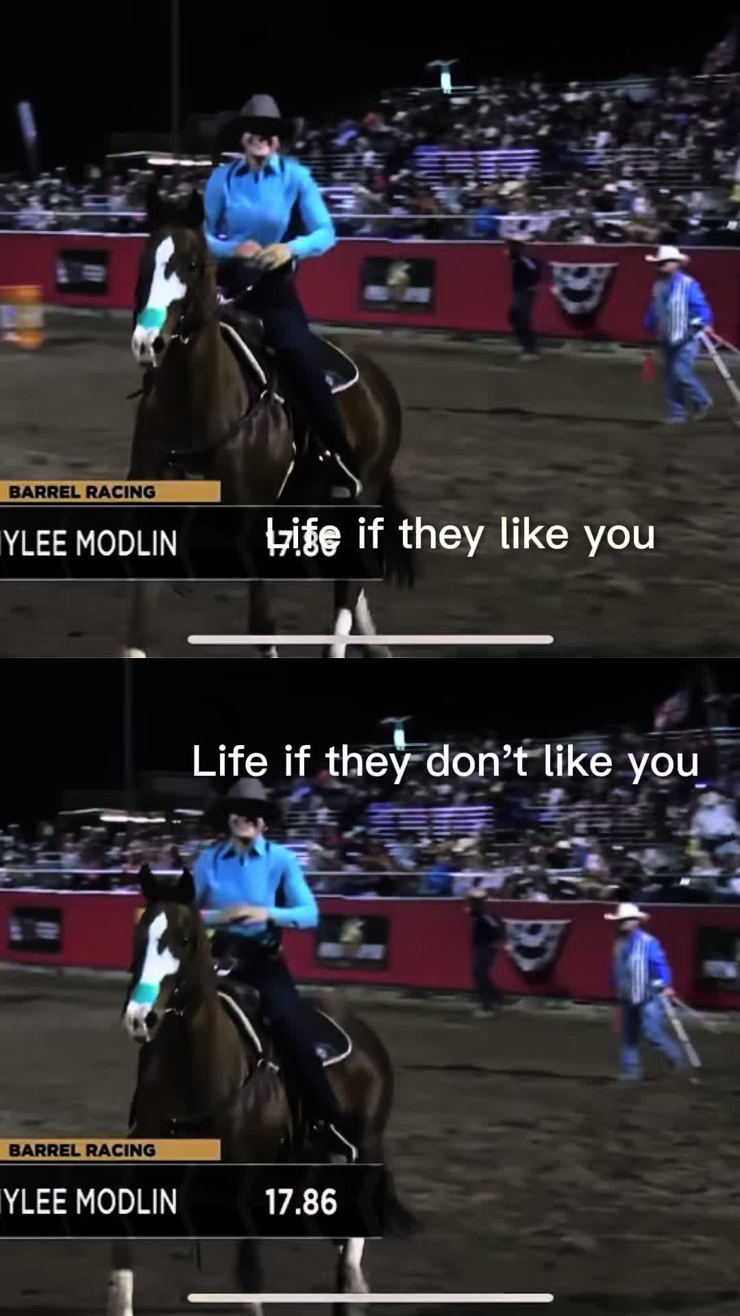 @Mylee Modlin