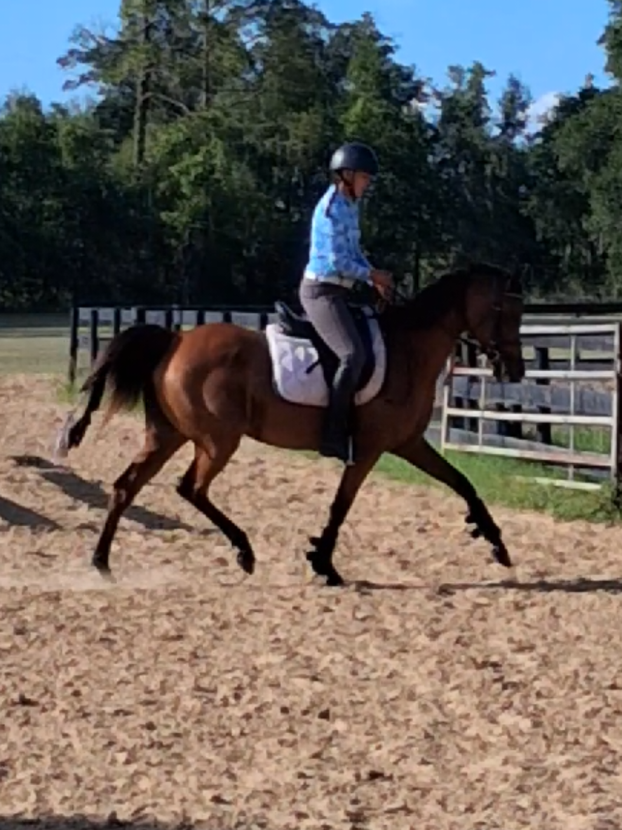 @sandbarfarm