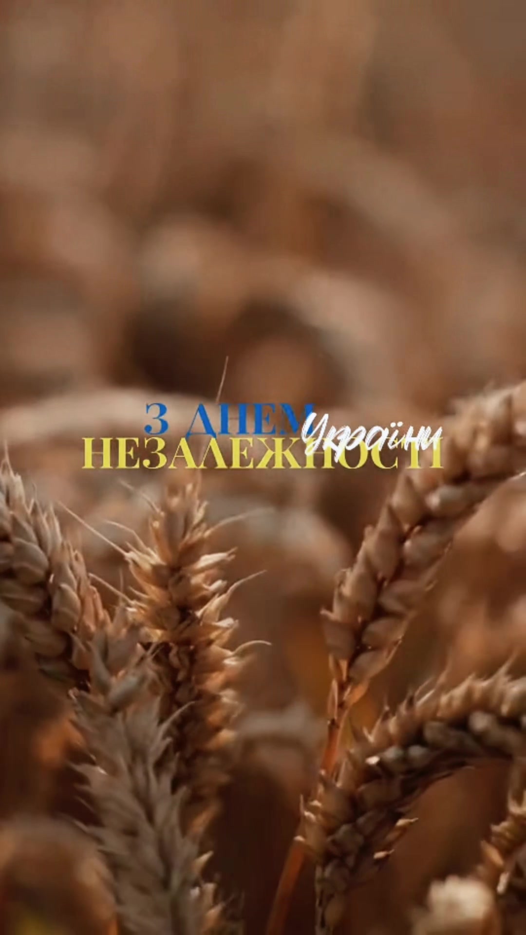 @Медичний Коледж