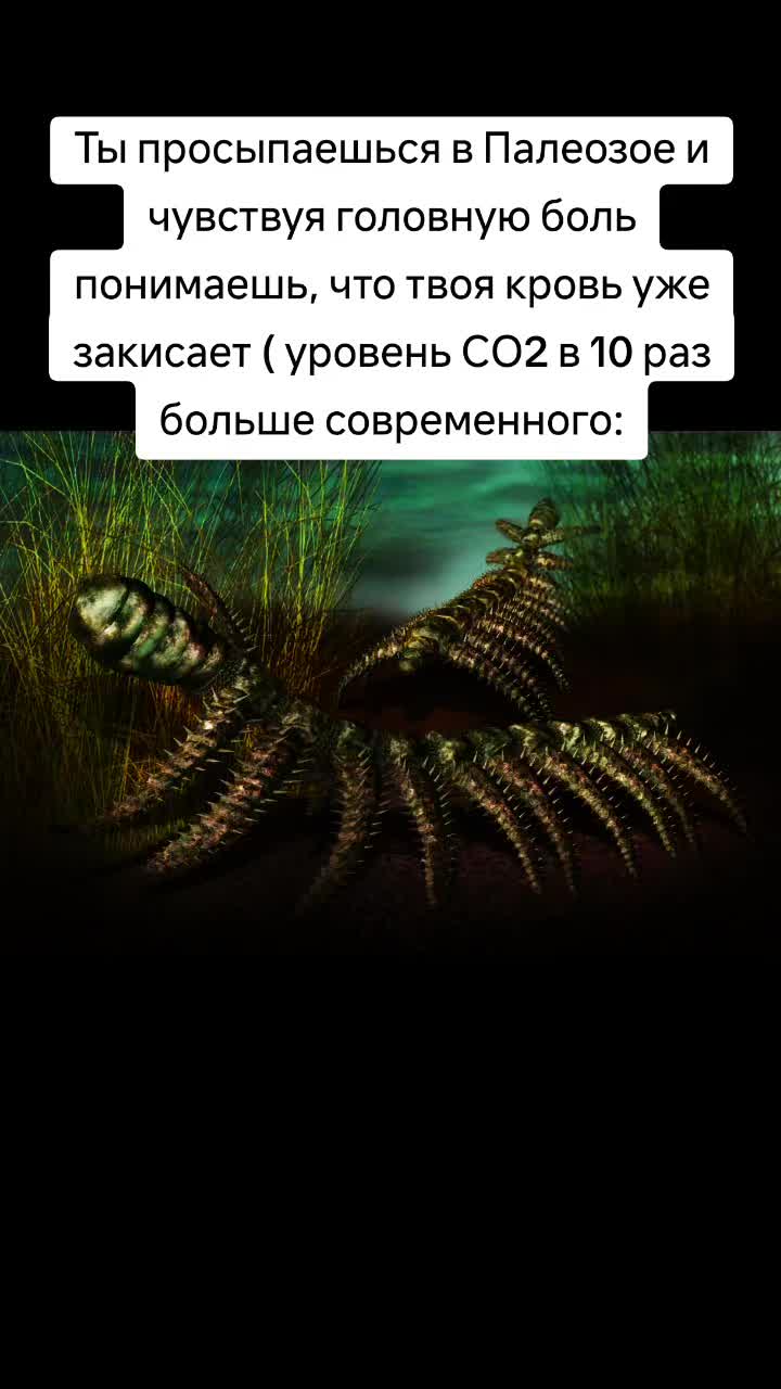 @Сендвич🕶