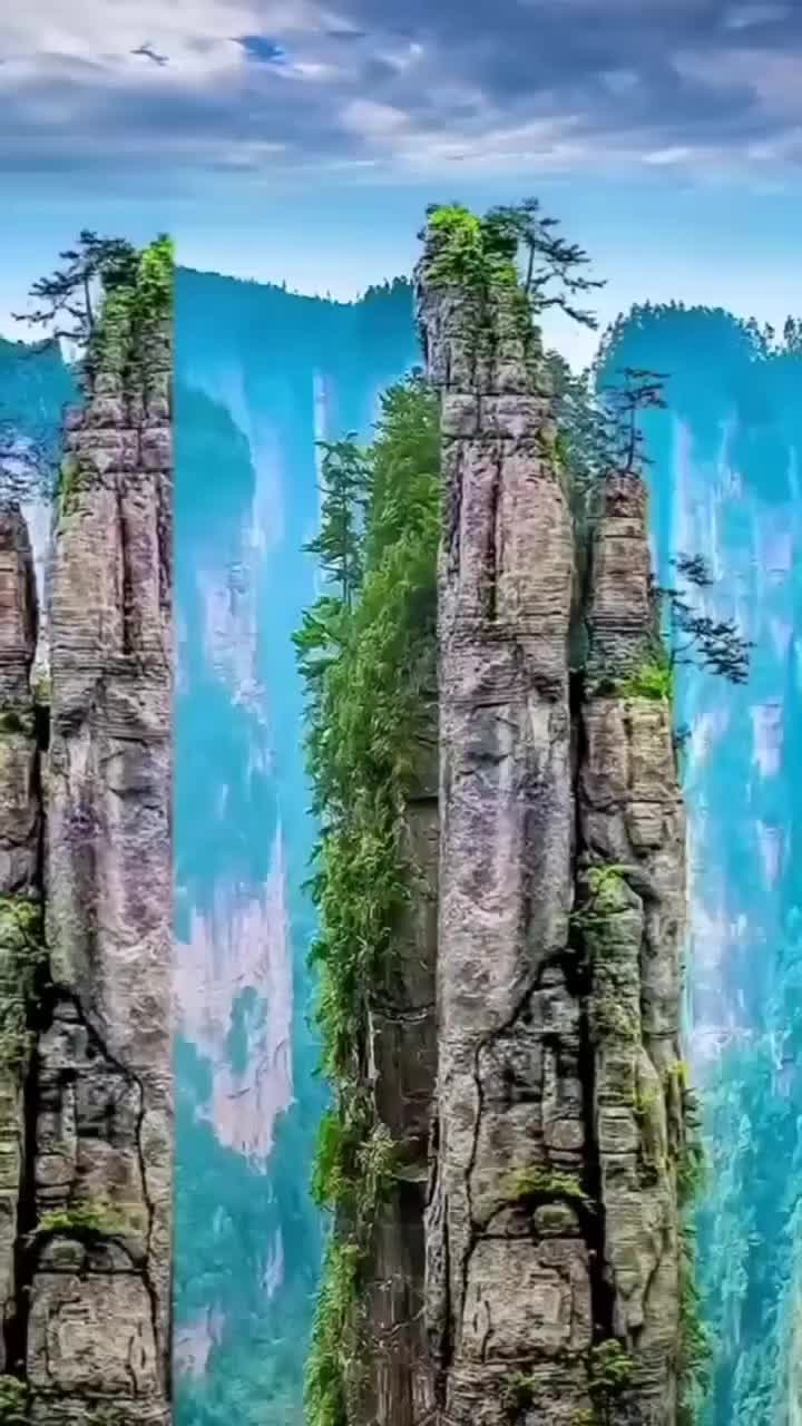 @Lionghoaho