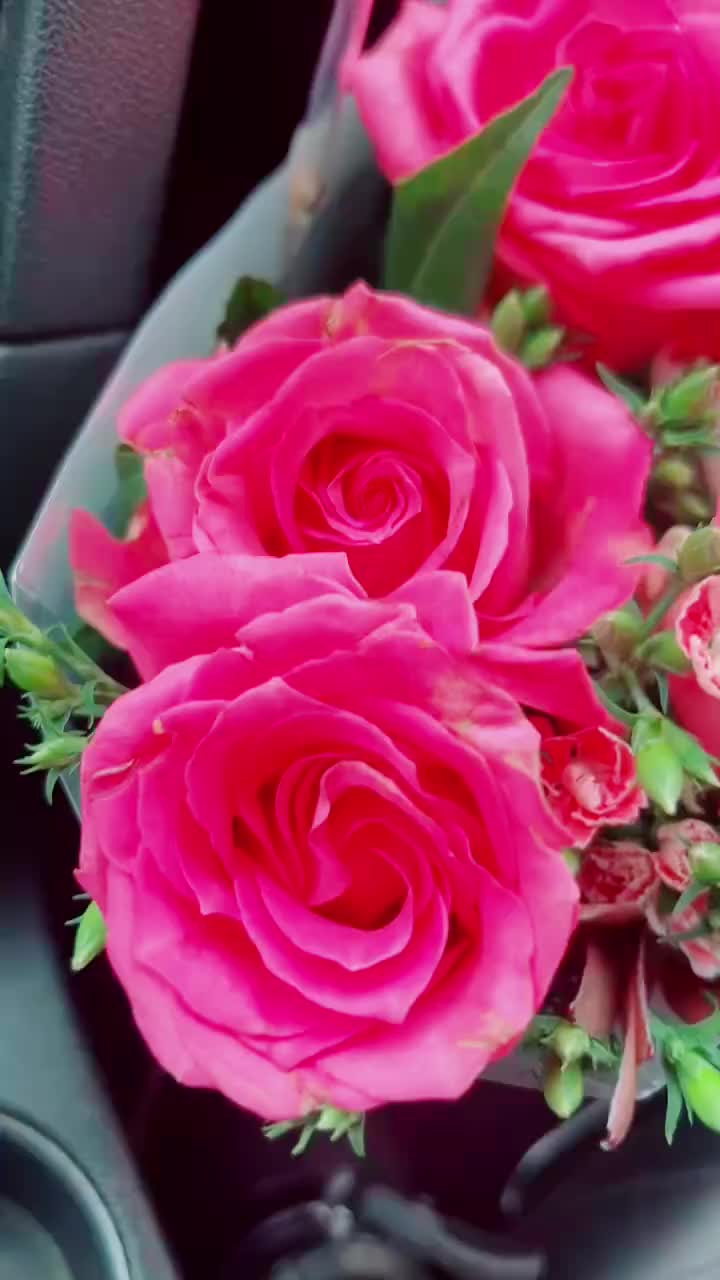 @Selena Marie