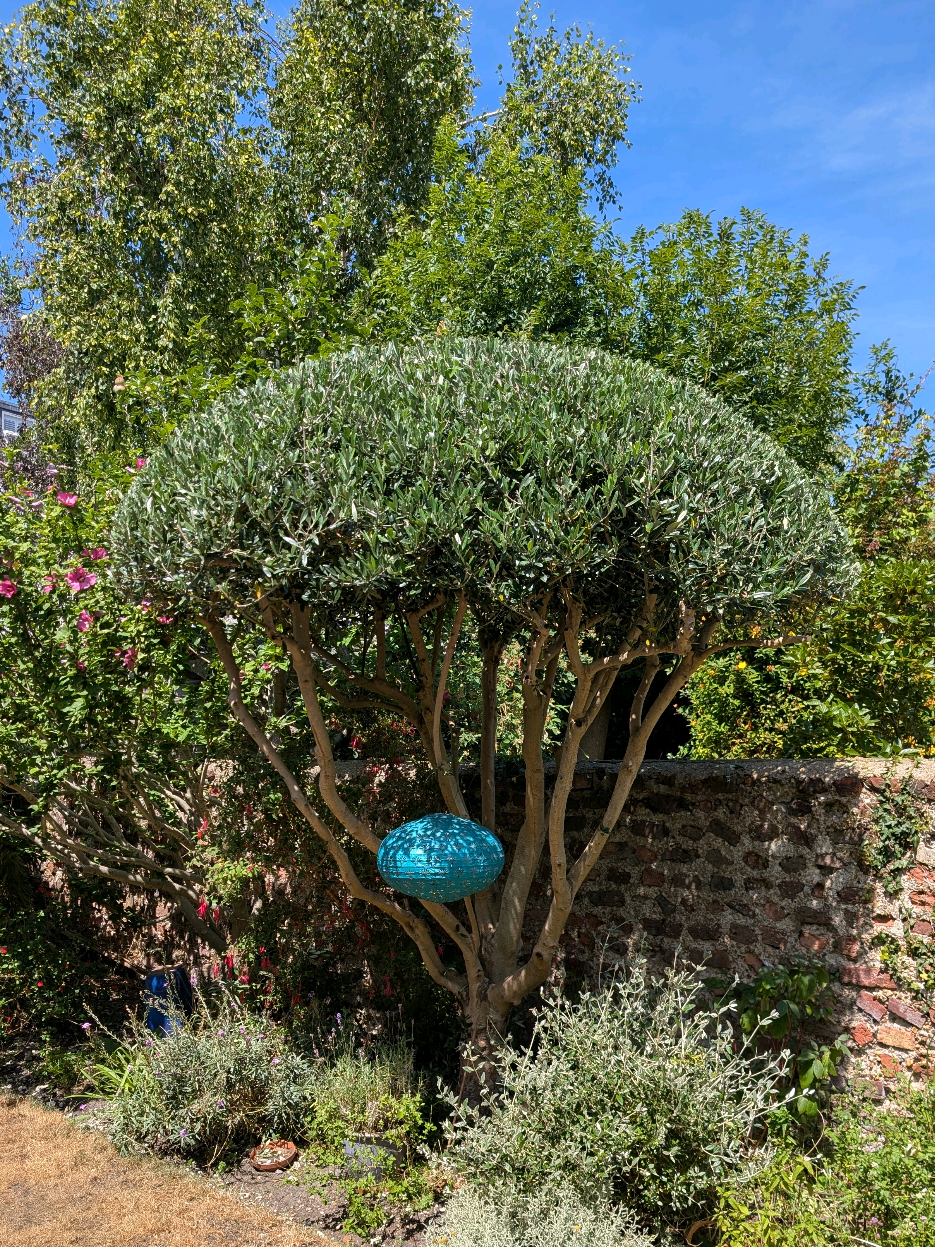 @Gary Hall Garden Services