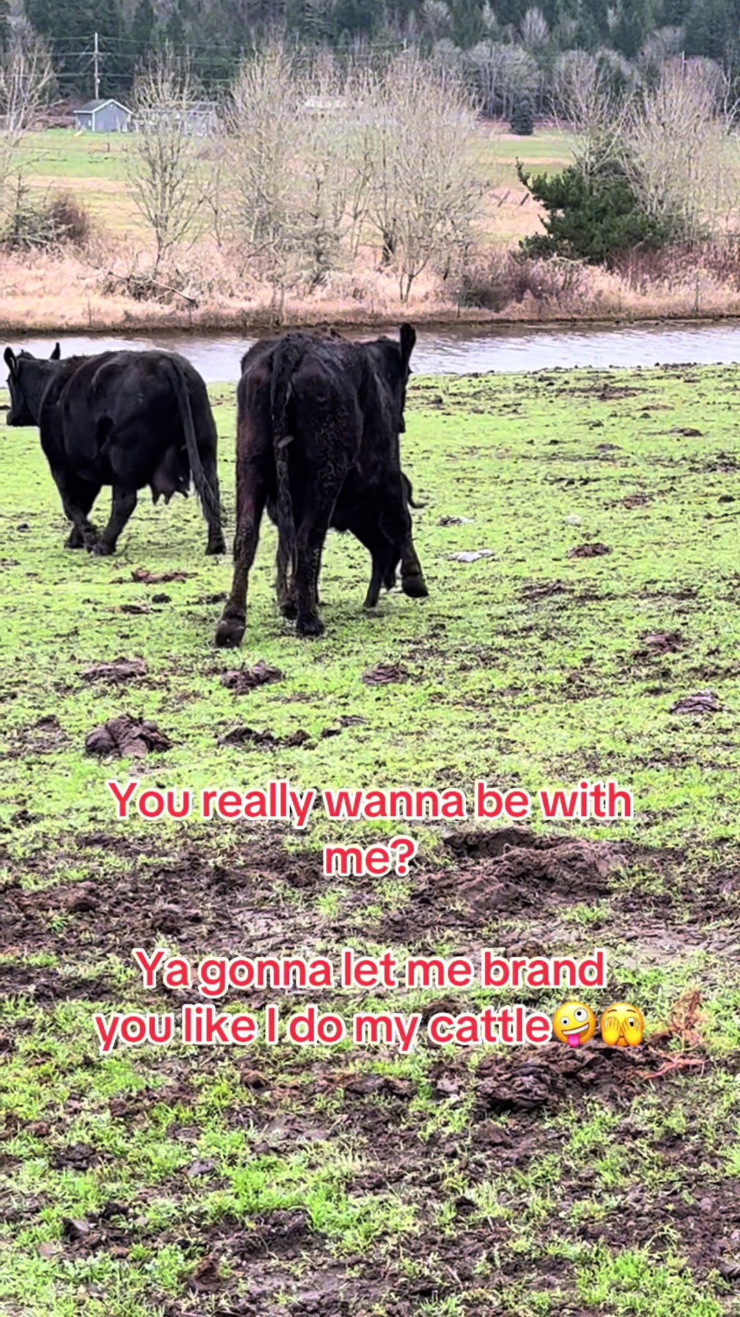 @Lynsie