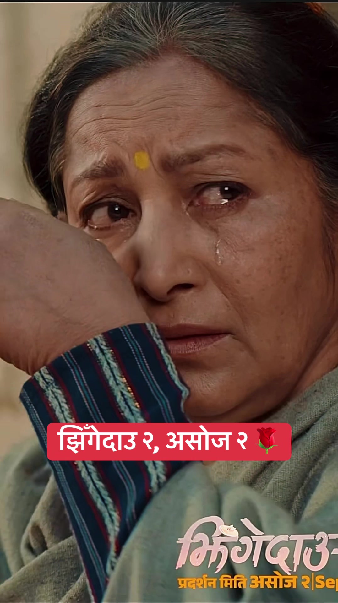 @Kushal Bista ✔️ कुशल बिष्ट