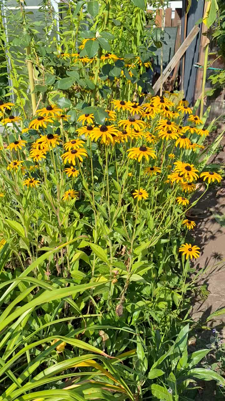 @Natur und Garten