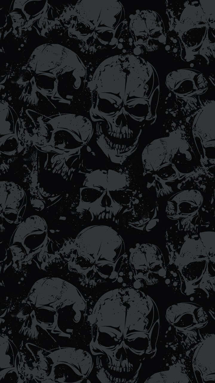 @sal🐼
