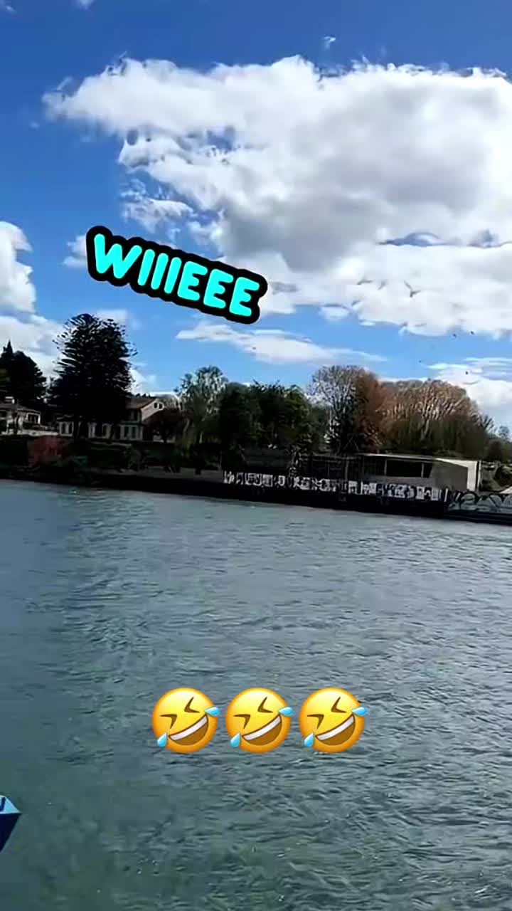 @Funny_pets
