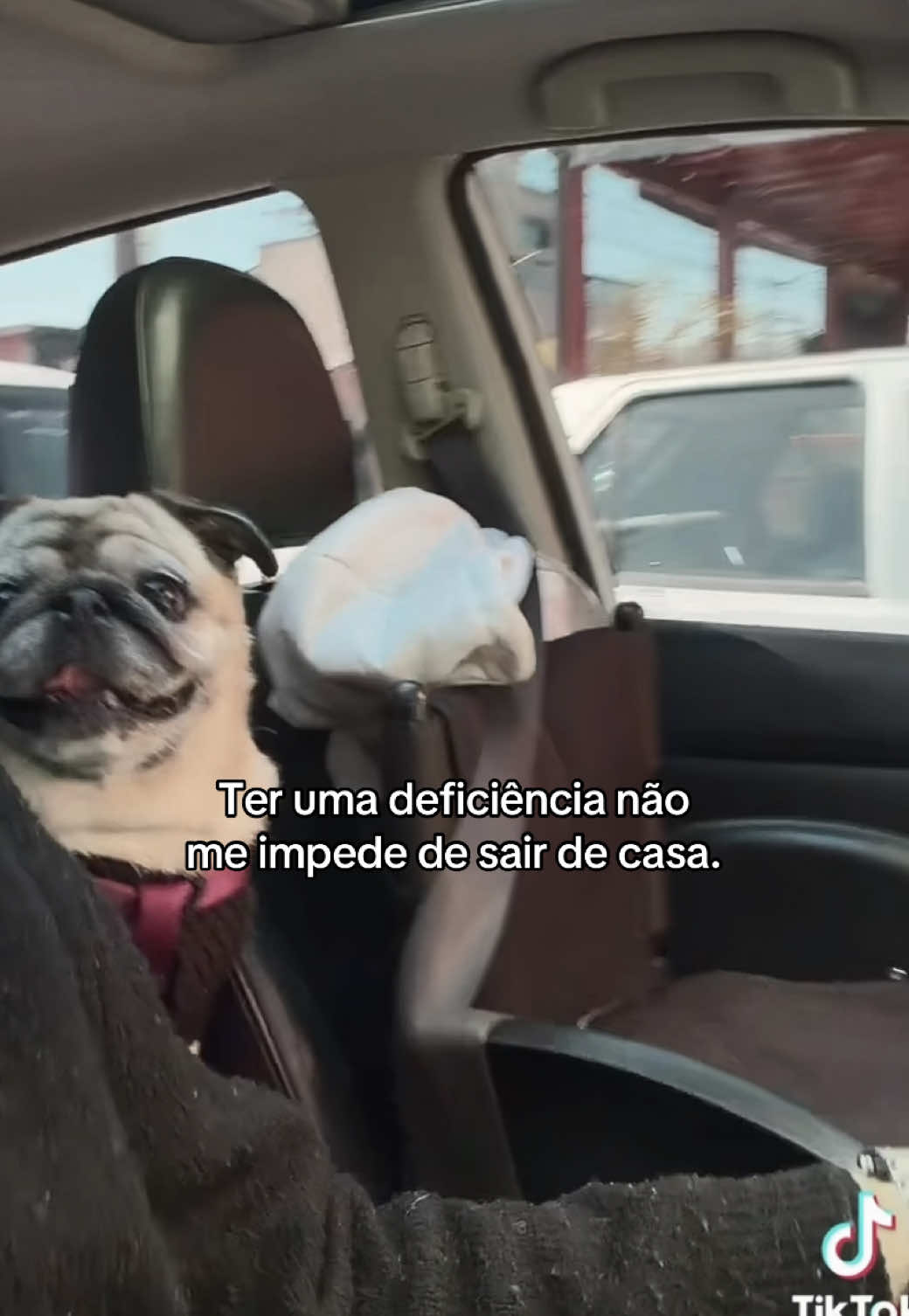 @Melzinha🕊️♿️