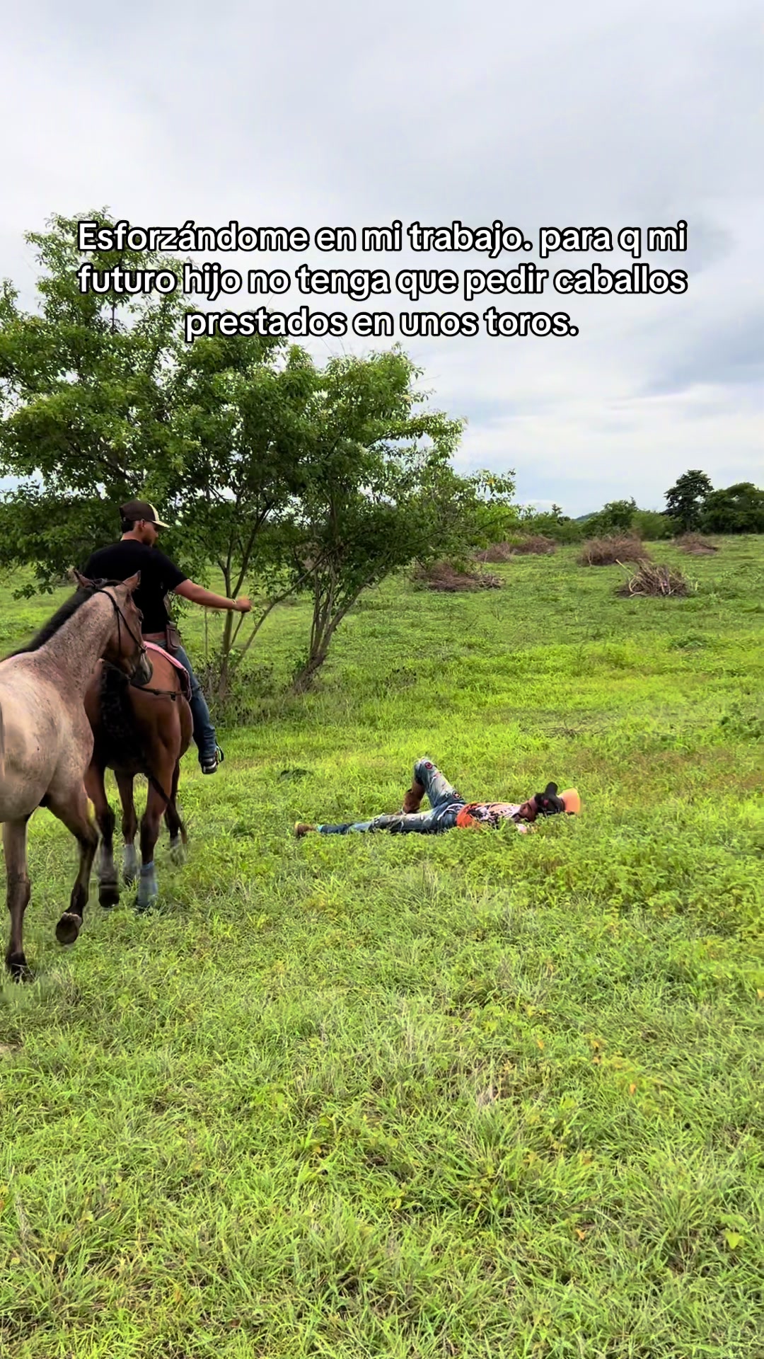 @Henry🤠