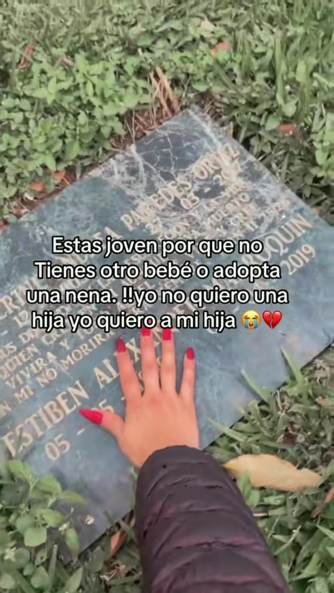 @evelynortiz03