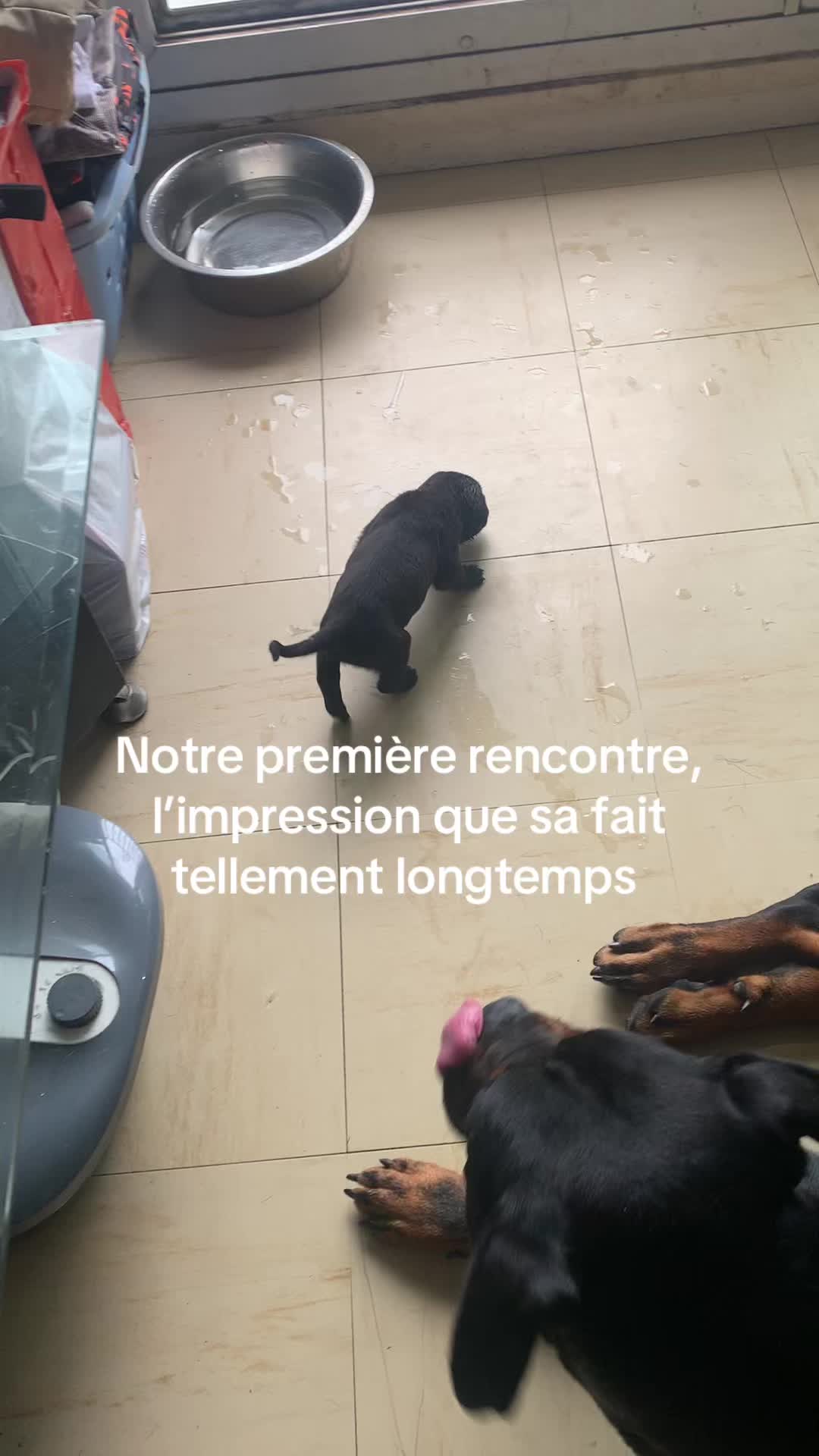 @les.aventures.de.naya