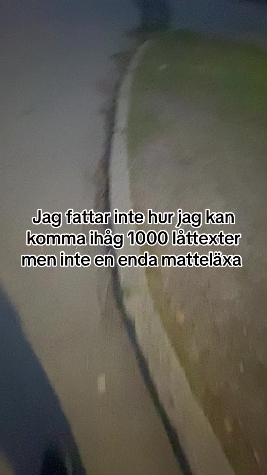 @DenKortaMarockanen