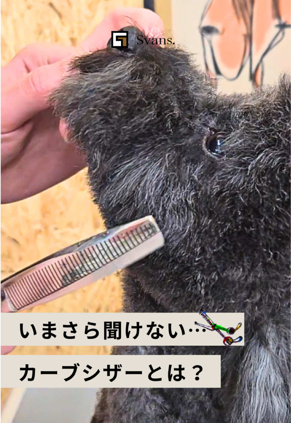 @Svans(スバンス)|トリマー向けシザー&バリカン専門