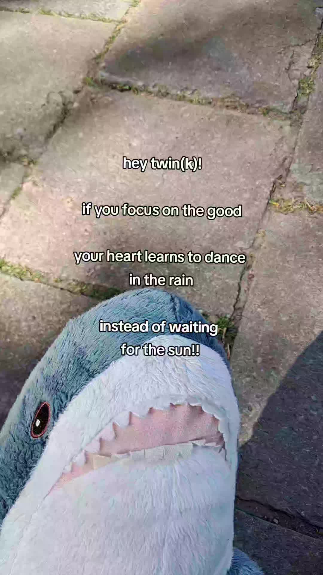 @Willie the Shark <3