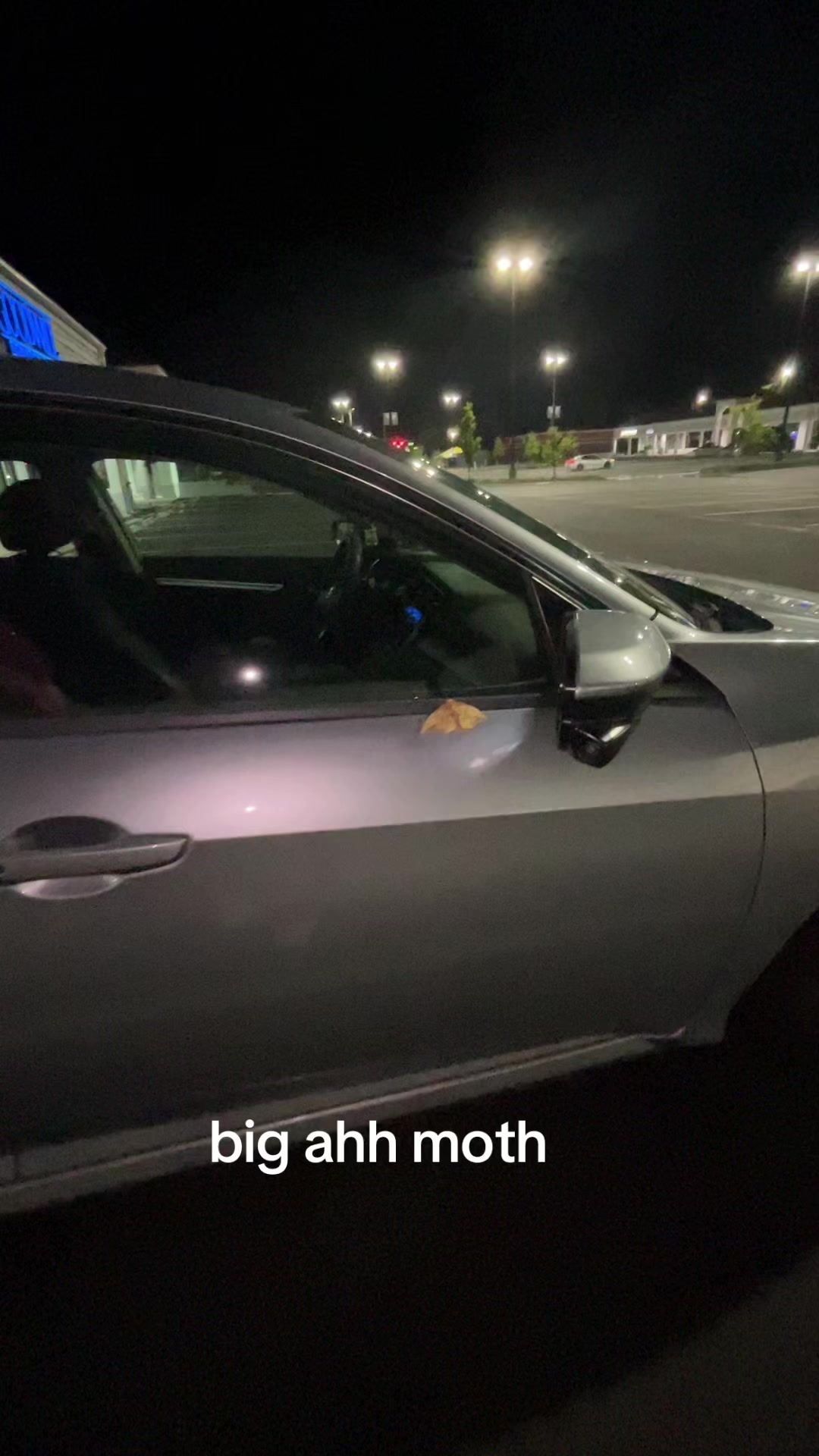 @Isabella