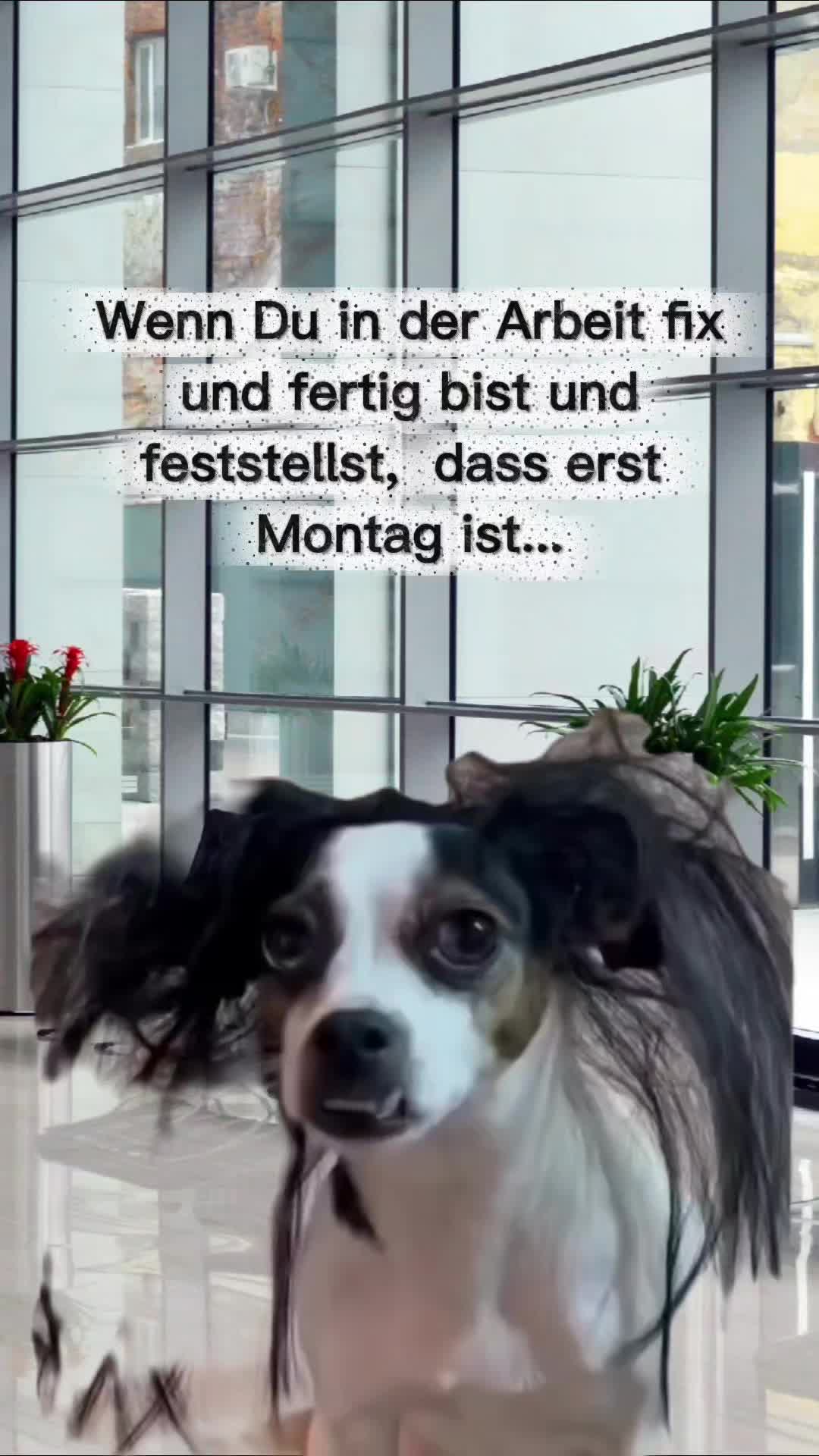 @storfine