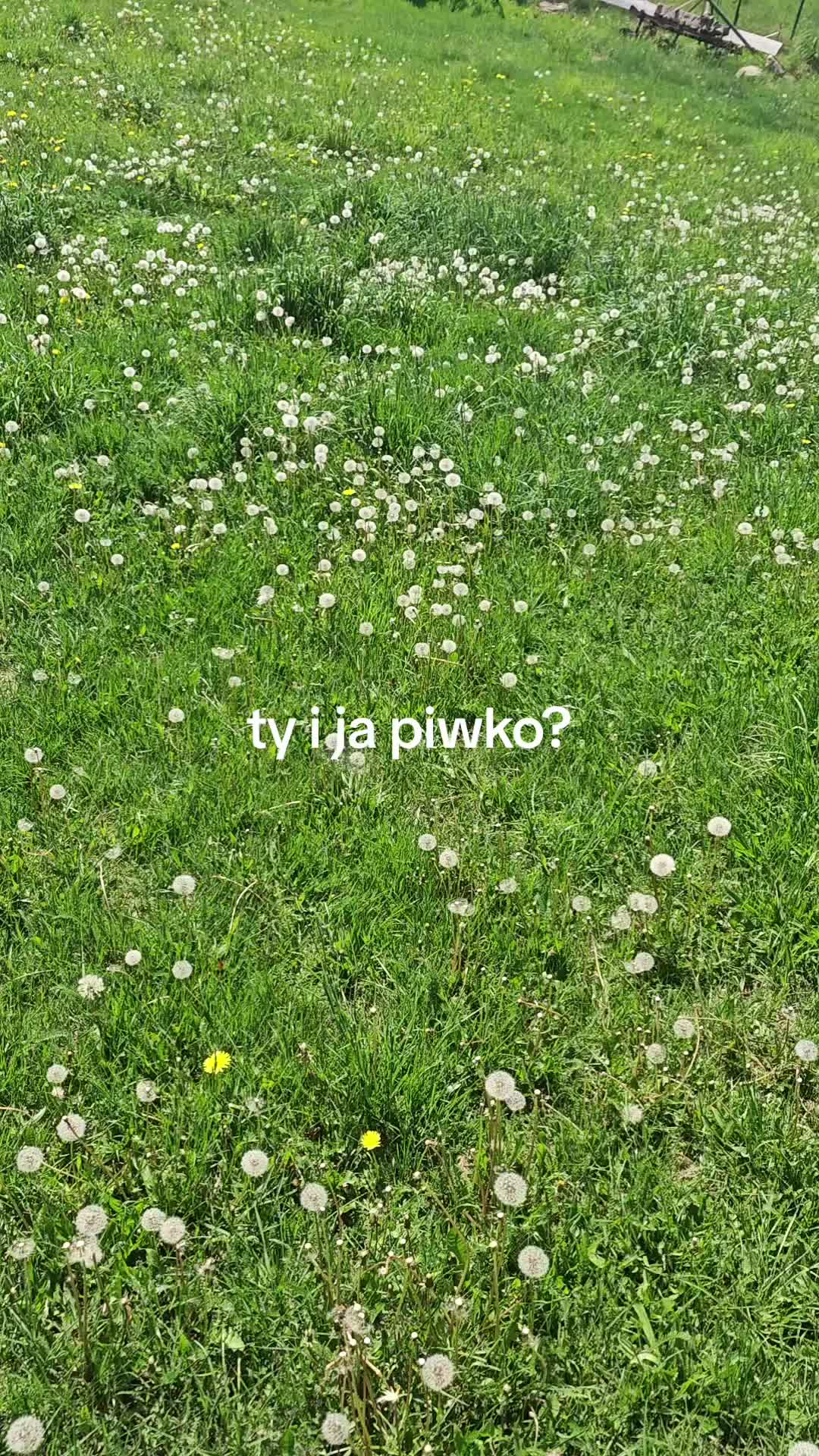 @k4rdev_