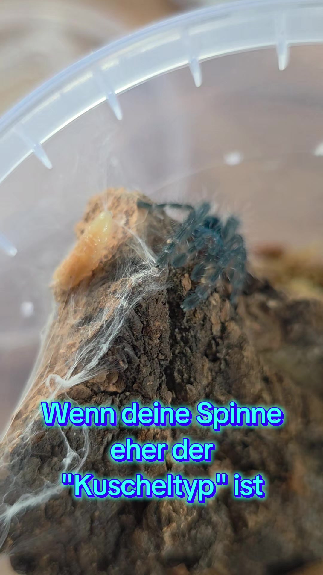 @Die...Isa!
