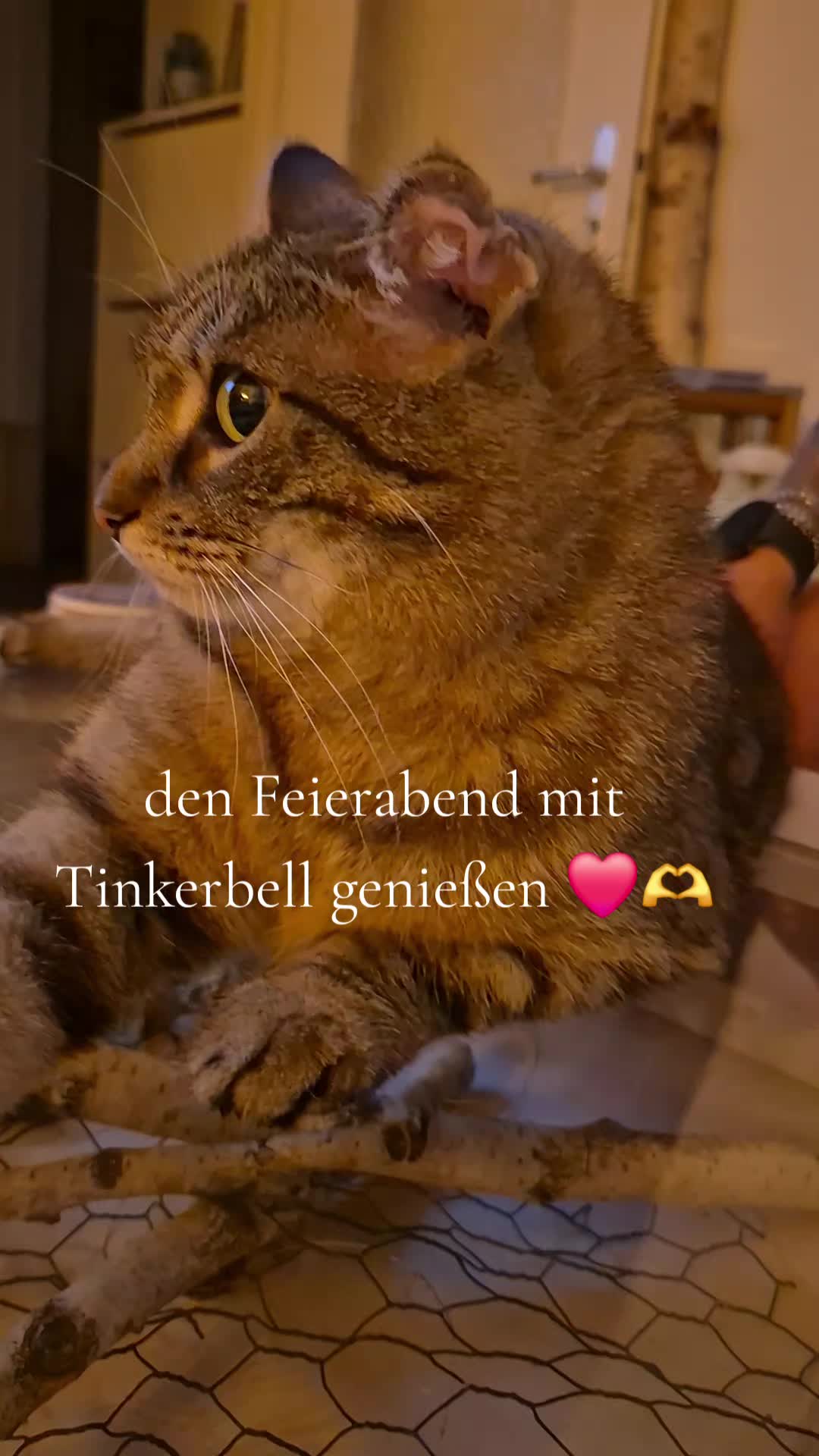 @Klausi24/7
