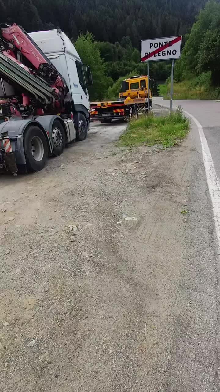 @il carrista di tik tok
