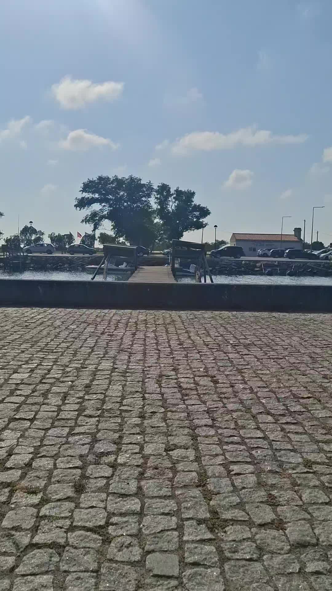 @Carlota Da Costa