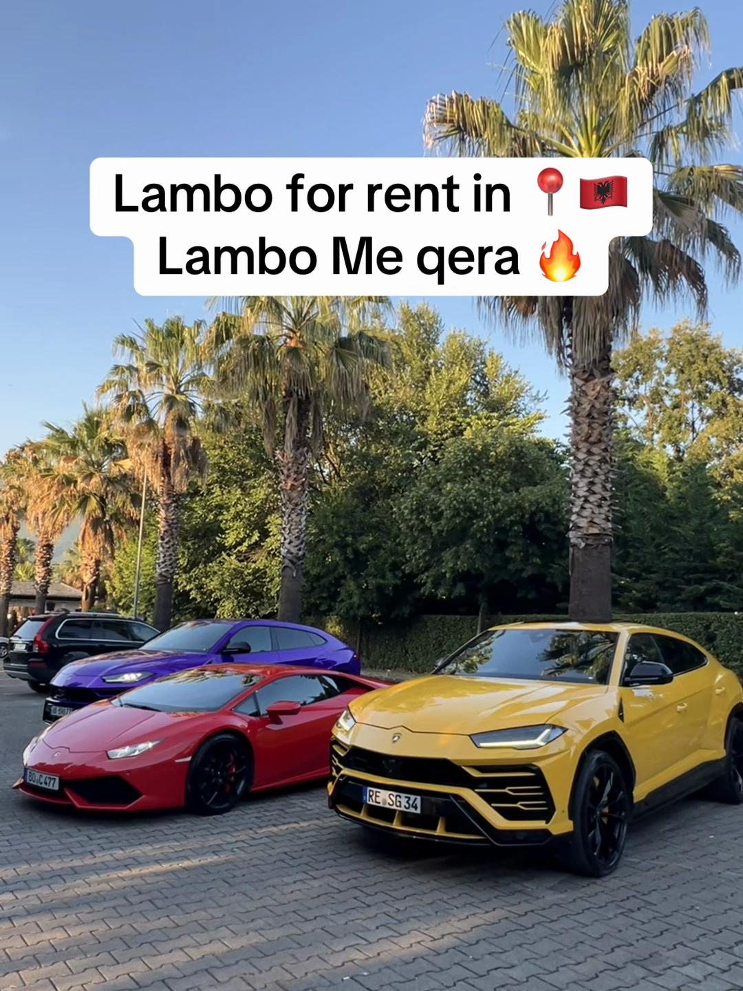 @rental.tirana.vip